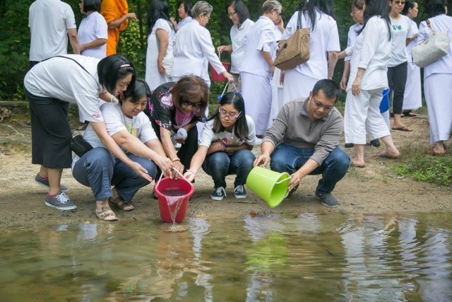 คณะสงฆ์และชาวพุทธต่างประเทศร่วมบำเพ็ญกุศลและปล่อยปลา ณ BURK LAKE Park