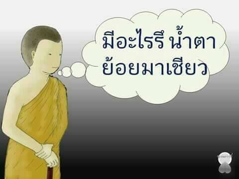 การ์ตูน "เด็กวัดกับหลวงตา" ชวนทำความดีถวายในหลวง รัชกาลที่ ๙