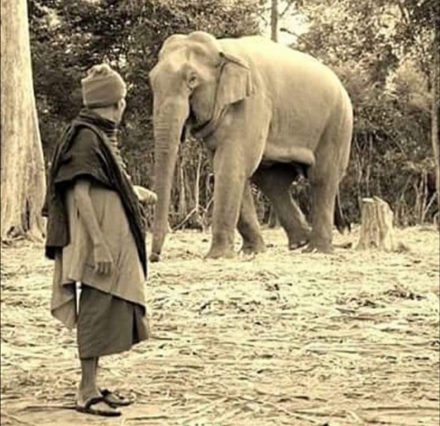 “หลวงปู่สุพิศ กันตจาโร” ละสังขารแล้ว ที่ก้อนหินใหญ่บนยอดเขา ใครที่ทราบประวัติถึงกับขนลุก