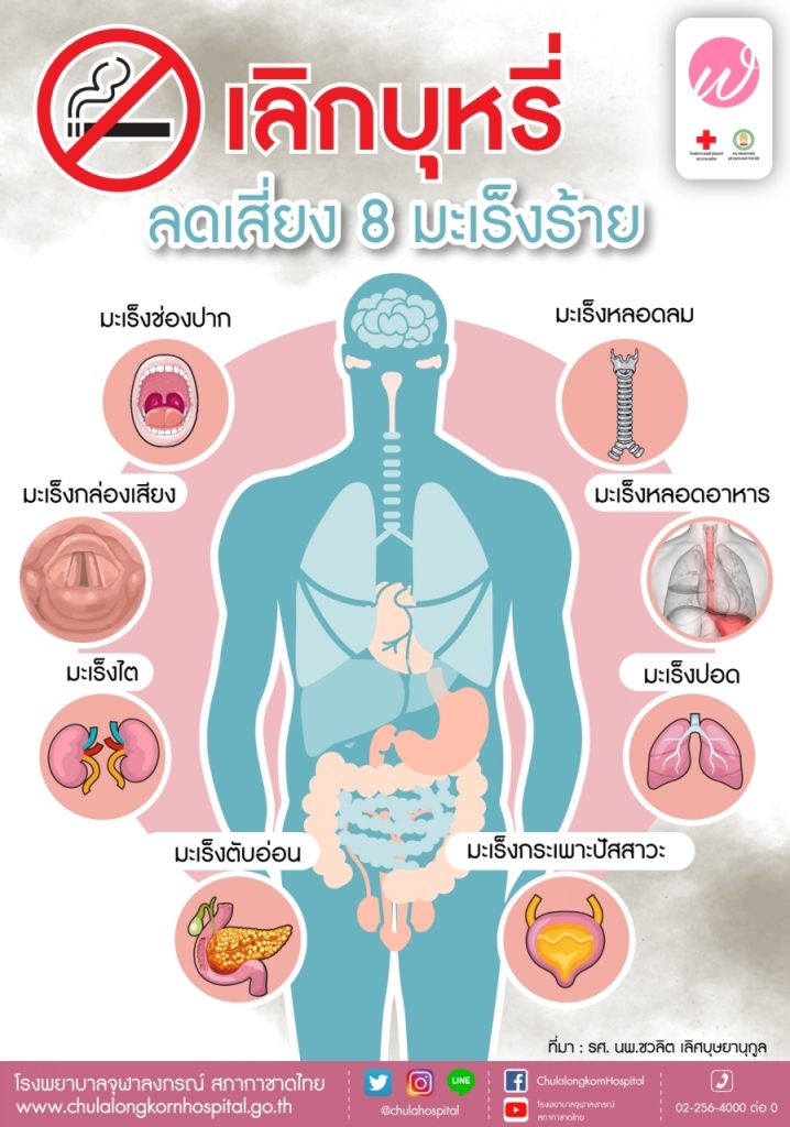 เน้นๆ “6 พื้นที่สาธารณะ” กทม.พุ่งเป้า “เขตปลอดบุหรี่ต้นแบบ”