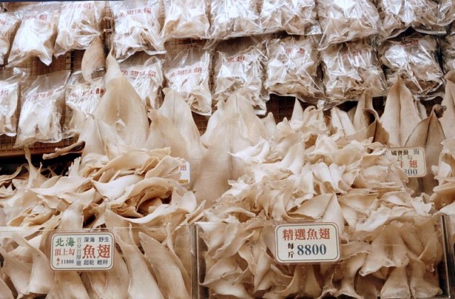 องค์กรสิทธิสัตว์เผย คนไทยที่เคยบริโภคหูฉลามร้อยละ 60 จะบริโภคต่อแม้ฉลามเกือบสูญพันธุ์