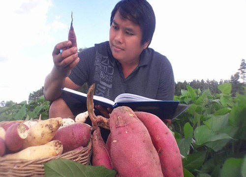 เกษตรกรโคราชปลูกมันหวานพันธุ์ต่างประเทศ แทนมันสำปะหลัง สร้างรายได้กว่า 2 แสนบาทต่อเดือน