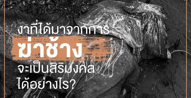 ศิลปินดารา คนดังของไทยแสดงพลัง #ไม่เอางาไม่ฆ่าช้าง ชวนคนไทยเลิกใช้ผลิตภัณฑ์งาช้าง
