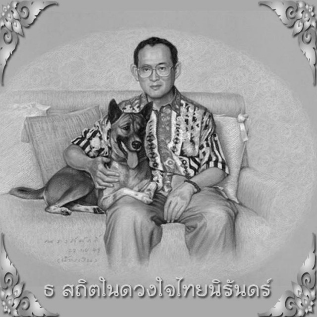 เรื่องเล่า “คุณทองแดง” สุนัขทรงเลี้ยง สู่ชีวิตใหม่สุนัขจรจัดนับพัน