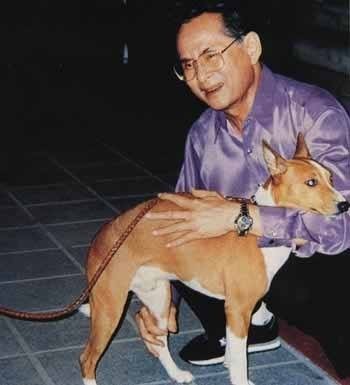 รวมภาพหาชมยาก ‘ในหลวงรัชกาลที่9’ ทรงฉายภาพกับสุนัขทรงเลี้ยง