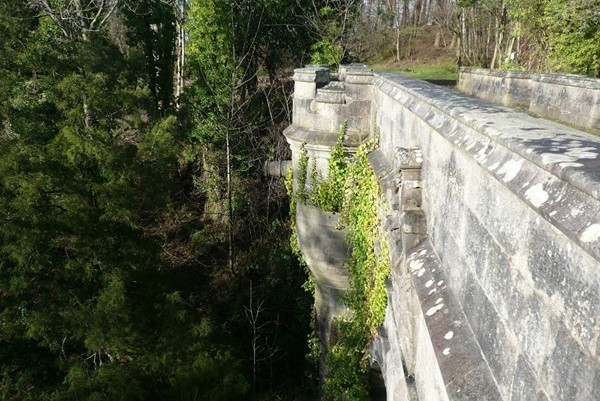 สะพานอาถรรพ์!! สถานที่ลี้ลับที่ดึงดูดให้สุนัขกระโดดฆ่าตัวตายกว่า 600 ตัว