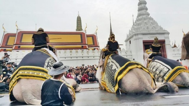 ช้างพลายมงคลจำนวน 11 เชือก ประดับด้วยคชาภรณ์แบบช้างศึก เข้าถวายสักการะพระบรมศพ ในหลวง ร.9