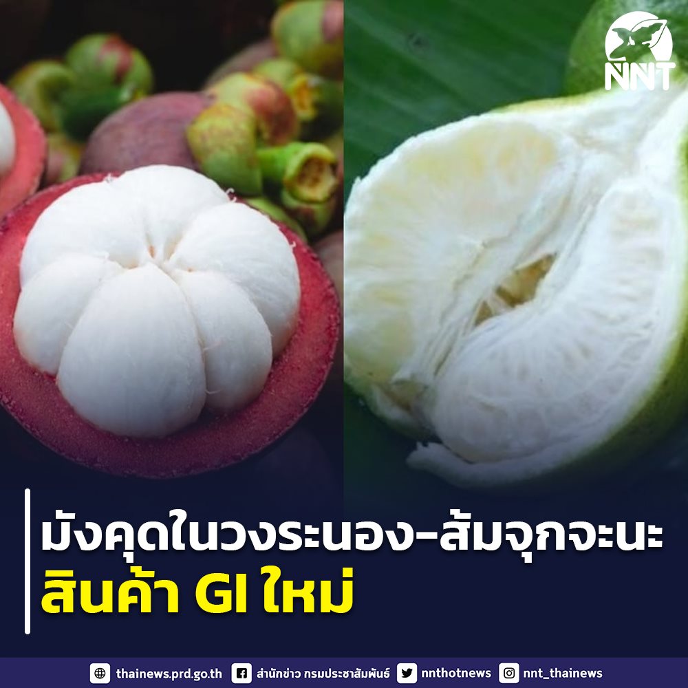 “มังคุดในวงระนอง-ส้มจุกจะนะ” สินค้า GI ใหม่