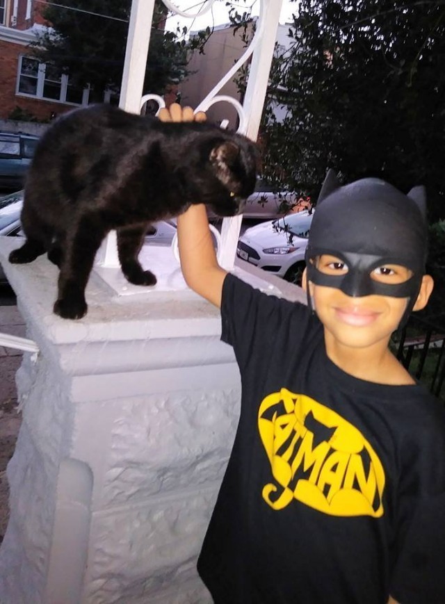 Catman ซูเปอร์ฮีโร่ใจบุญตัวจิ๋ว ผู้พิทักษ์แมวจรจัดในสหรัฐ