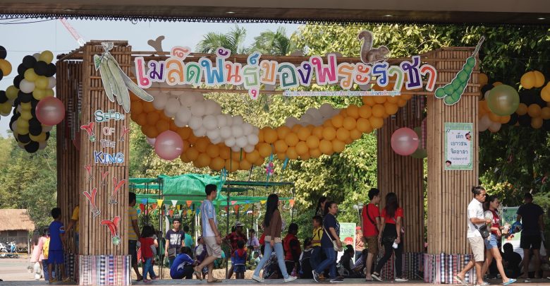 เด็กๆลุ้น เล่นเกมส์ชิงรางวัลในงานเมล็ดพันธุ์ของพระราชา ปทุมธานี