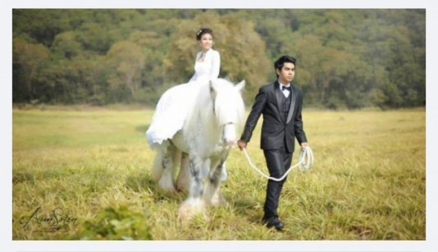 เปิดภาพ หมอพลอย ควาญช้างหญิง ในขบวนช้างแสดงความอาลัย 11 เชือก