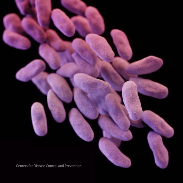 CDC ชี้! หญิงเนวาดาเสียชีวิต ติดเชื้อดื้อยาปฏิชีวนะทุกชนิดในสหรัฐฯ นี่คือสัญญาณเตือนภัย??