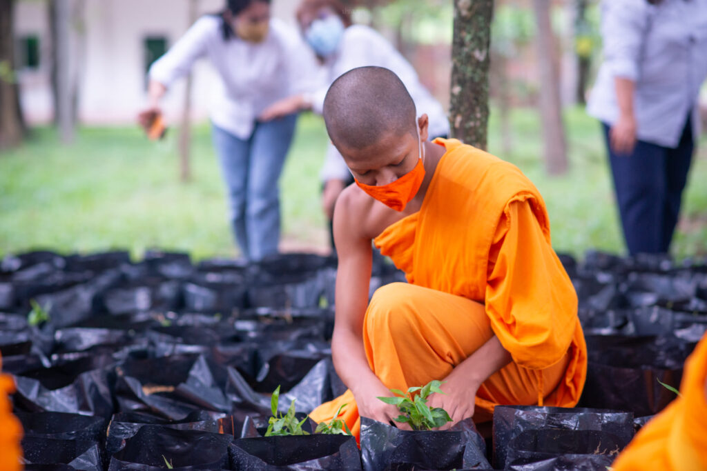 วัดพระธรรมกายชวนปลูกพืชสมุนไพรสู้ภัยโควิด-19.