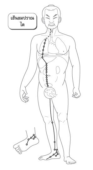 วิธีบำบัดอาการตัวแข็ง ปวดตึงร่างกาย ...