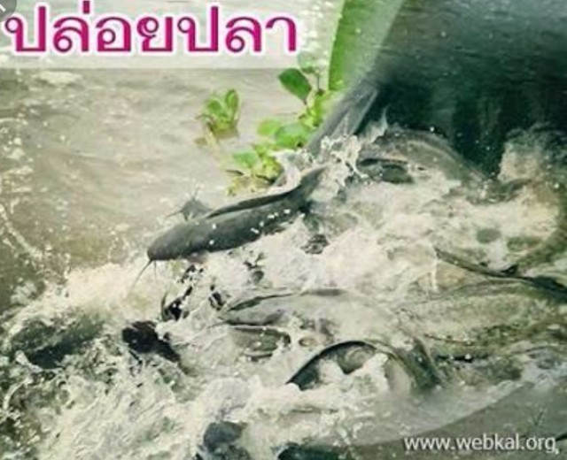 เจอเคราะห์แบบนี้ !" เพราะไปทำกรรมเข้า "มาดู วิธีลดกรรมตามเคราะห์กรรมที่เจอ