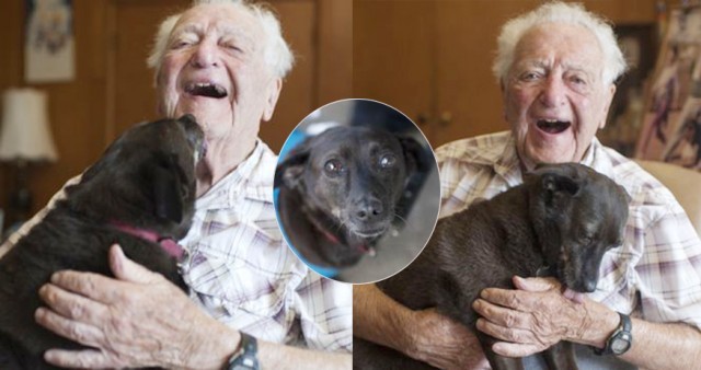 คุณทวดวัย 104 เผยเคล็ดอายุยืน – เลี้ยงหมาให้ยึดเหนี่ยวจิตใจกัน