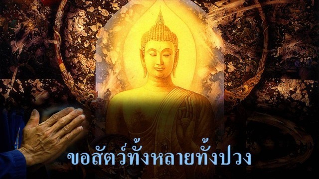 ให้หมั่นเจริญเมตตา