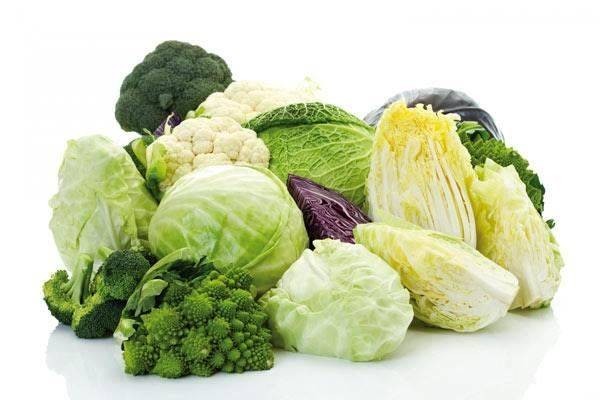 รู้ไว้ได้ประโยชน์!!!5 เทคนิคการกิน ช่วยเรื่อง ระบบย่อยอาหาร