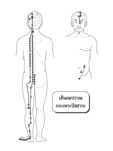 วิธีบำบัดอาการตัวแข็ง ปวดตึงร่างกาย ...