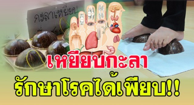 ต้องลอง!!!เหยียบกะลา!! ธรรมชาติบำบัด รักษาโรคความดันโลหิตสูง และเบาหวานได้