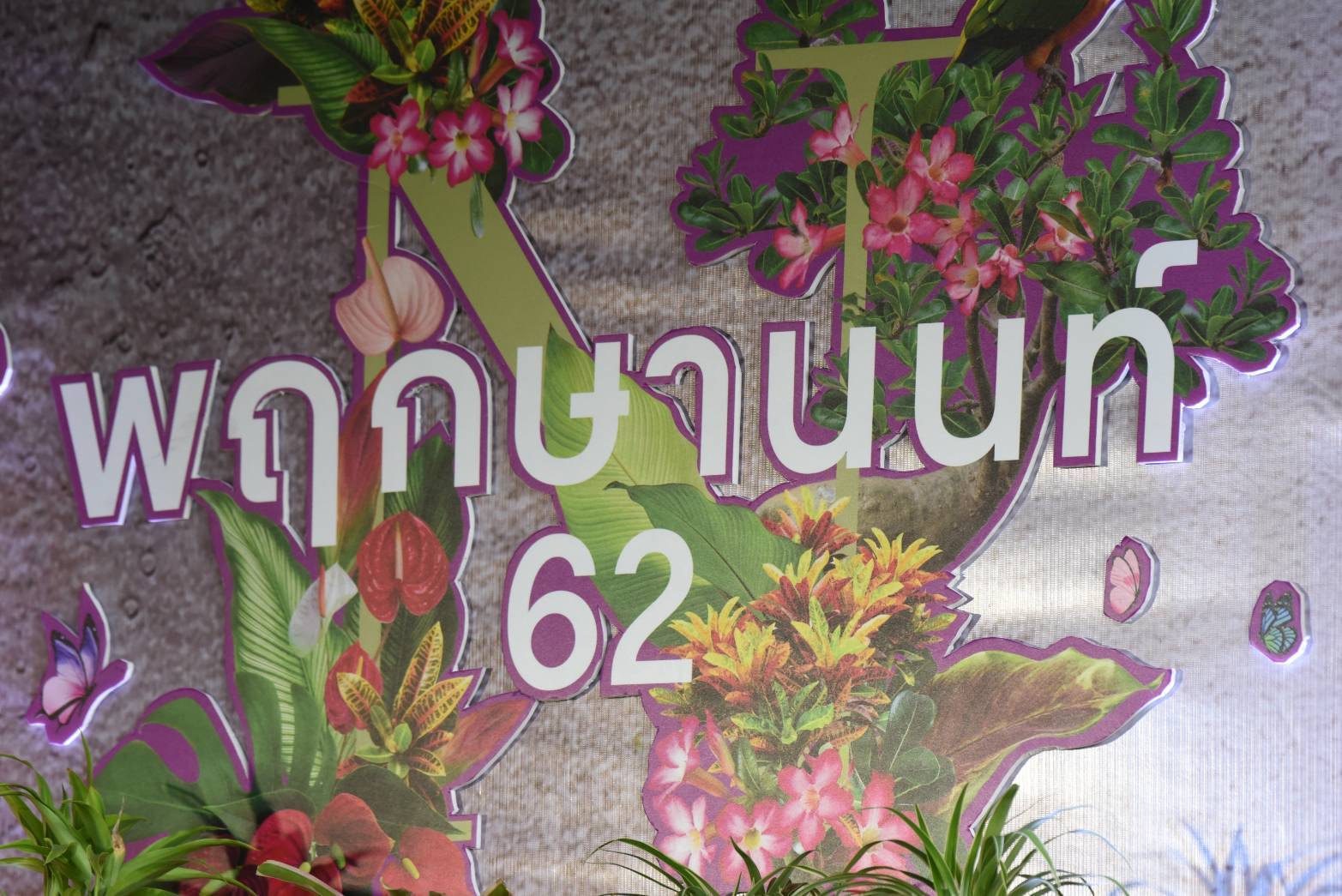 เทศกาล "ไม้ดอกไม้ประดับ" จ.นนทบุรี เริ่มแล้ว !!