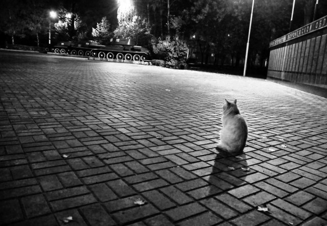 เหตุผลทางวิทยาศาสตร์ อธิบายว่าทำไมคุณถึงรู้สึก “เหงา” และจะส่งผลอย่างไรบ้าง!?