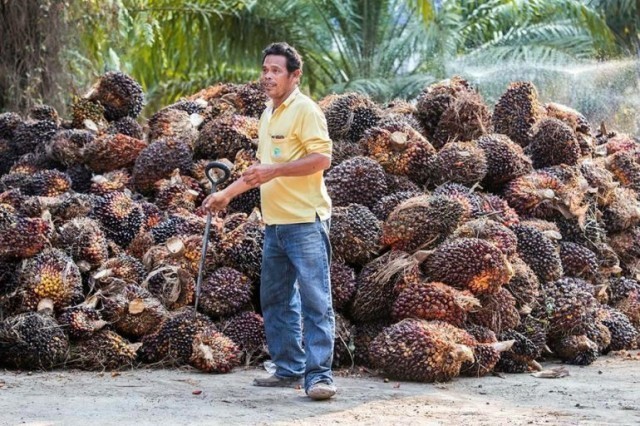 "เจ๊ะหัน ยะลา" หนุ่มจบป.6 แต่มาบริหารเงินนับ 10 ล้านได้ "เพราะผมอ่านหนังสือ"