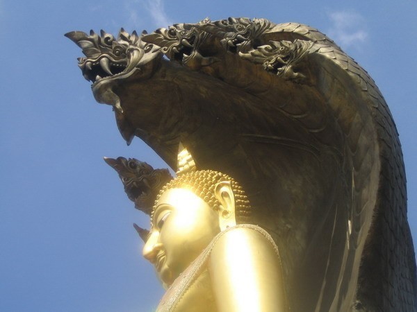 พญานาคและความศรัทธาเลื่อมใสต่อพระพุทธศาสนา