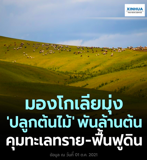 มองโกเลียมุ่ง 'ปลูกต้นไม้' พันล้านต้น คุมทะเลทราย-ฟื้นฟูดิน