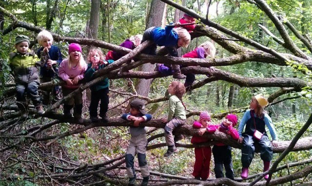 เจ๋ง โรงเรียนอนุบาลในป่าที่เยอรมัน (Waldkindergarten) ฝึกทักษะการใช้ชีวิต