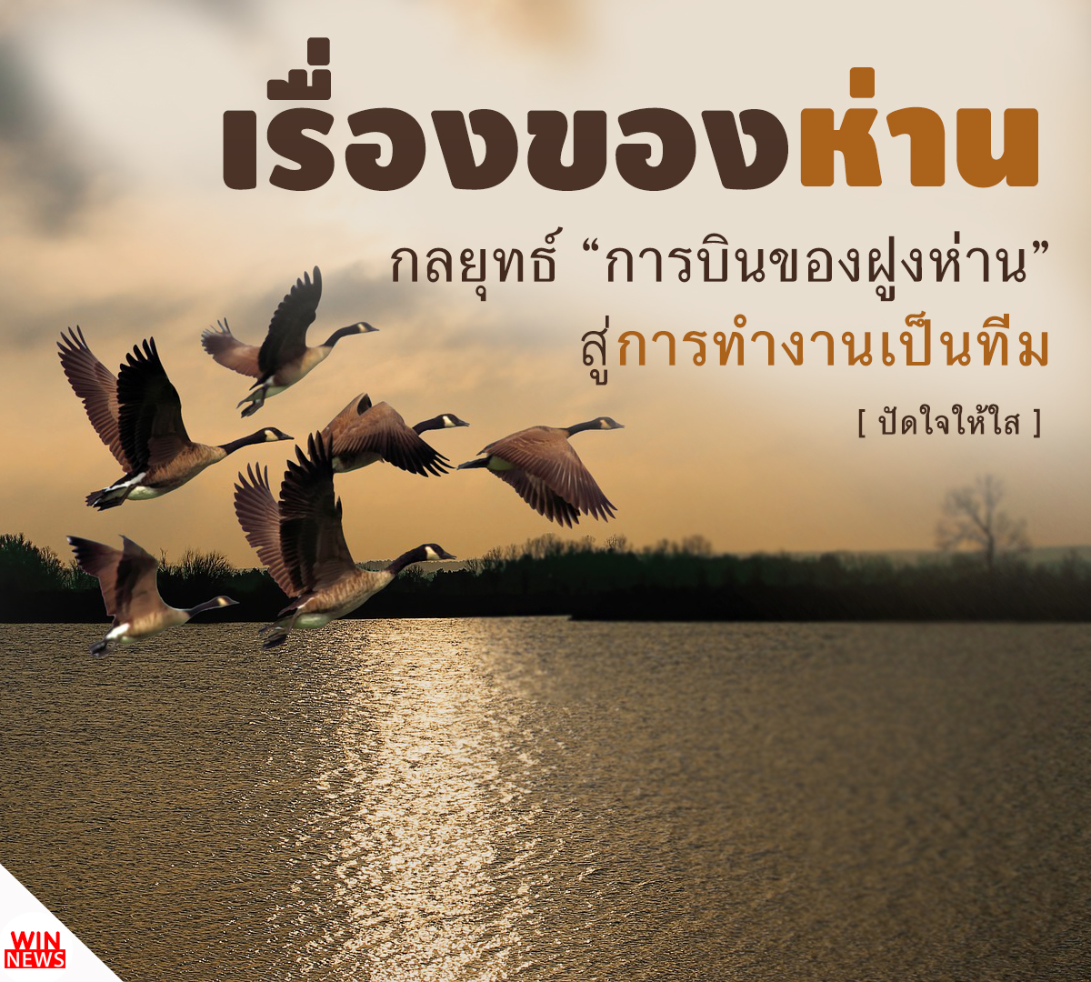 ปัดใจ(ให้ใส) ตอน เรื่องของห่าน