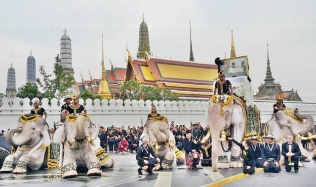 ช้างพลายมงคลจำนวน 11 เชือก ประดับด้วยคชาภรณ์แบบช้างศึก เข้าถวายสักการะพระบรมศพ ในหลวง ร.9