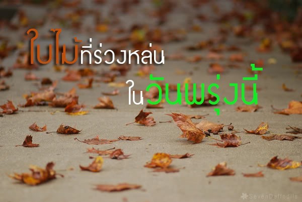ใบไม้ที่ร่วงหล่นในวันพรุ่งนี้