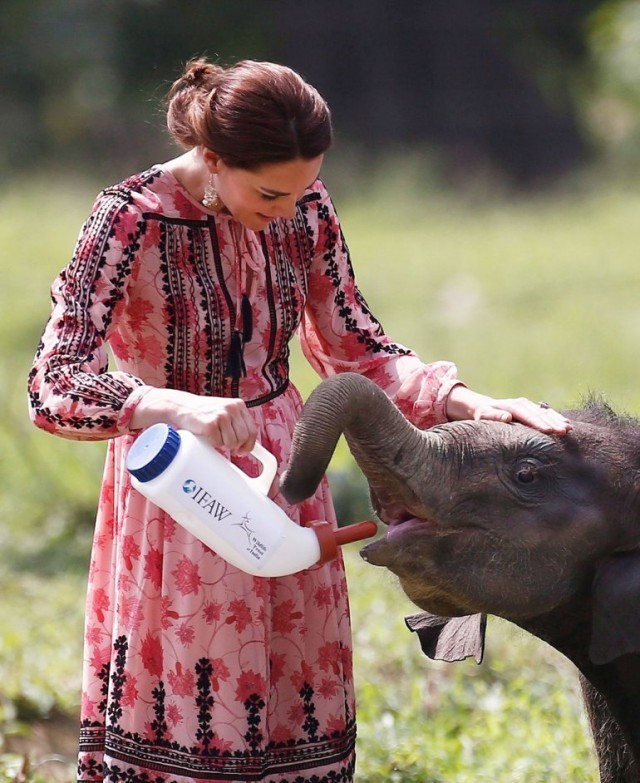 สง่างามยิ่ง!!  เมื่อ“เจ้าหญิงเคท” เสด็จอินเดีย- ภูฏาน ด้วยฉลองพระองค์ท้องถิ่น