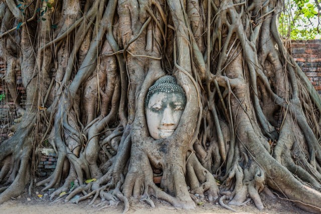 10 พระพุทธรูปองค์ใหญ่ที่มีชื่อเสียงที่สุดในโลก (ตอนที่ 1)