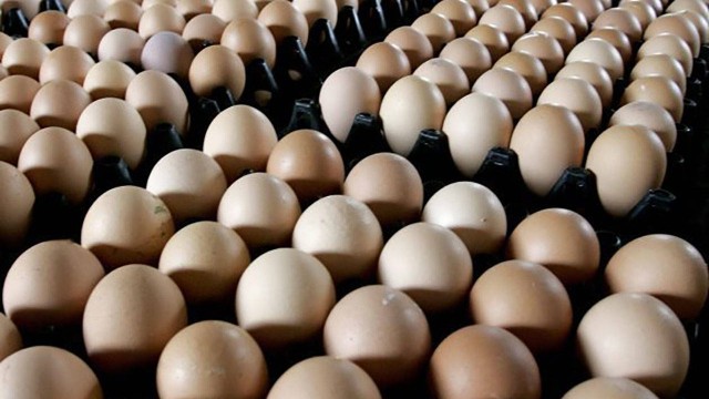 เหตุหวัดนก!!! เกาหลีใต้นำเข้าไข่ไก่จากไทย หลังขาดแคลนหนัก