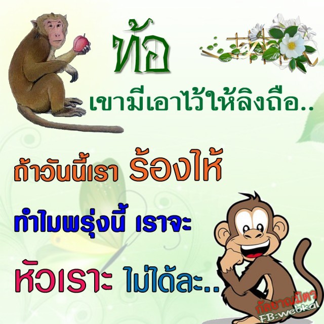 เกิดเป็นคนอย่าท้อ