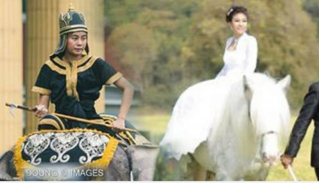 เปิดภาพ หมอพลอย ควาญช้างหญิง ในขบวนช้างแสดงความอาลัย 11 เชือก