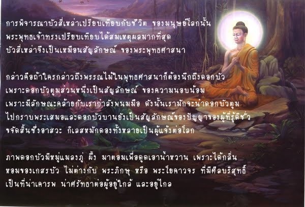 วิสาขบูชา 59  พับดอกบัวให้สวยทำอย่างไร  กับ 15 สไตล์สุดปราณีต