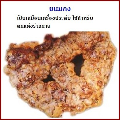 "ยกหมรบใหญ่"  "ชิงเปรต!" ประเพณีที่แสดงถึงความกตัญญูกตเวทีของลูกหลานเมืองคอน