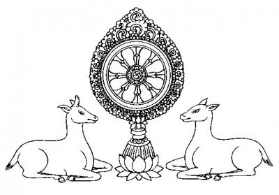 “กวาง”สัตว์สัญลักษณ์สำคัญในวันปฐมเทศนาธัมมจักกัปปวัตตนสูตร