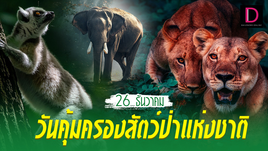 รู้หรือไม่? 26 ธันวาคม คือ “วันคุ้มครองสัตว์ป่าแห่งชาติ”