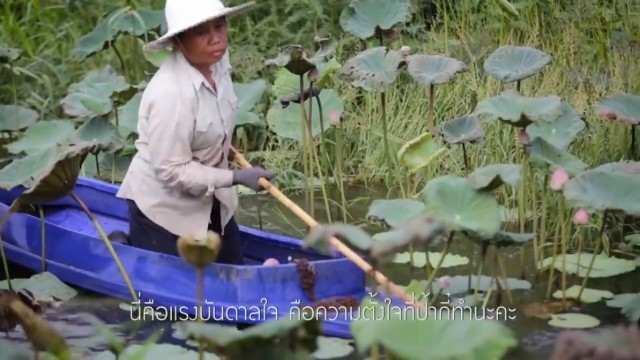 แรงบันดาลใจ...อยากทำบุญแต่ไม่มีปัจจัย!!!สิ่งที่ทำได้คือ (มีคลิป)