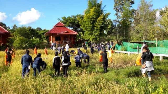 “สถานธรรมปลีกวิเวก”  สอนวิชาธรรม นำวิชาชีพ