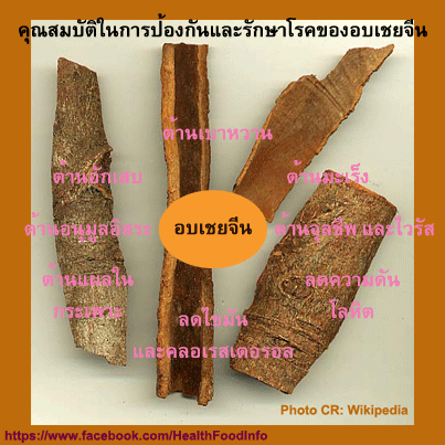 อบเชย รู้ว่าดีอย่างนี้ หามาทานนานแล้ว