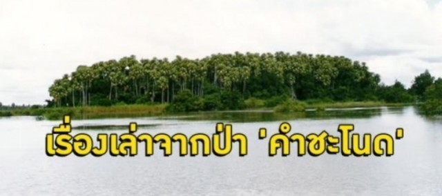 คำชะโนด เกาะลอยน้ำ เผยตำนานป่าลี้ลับป่าคำชะโนด