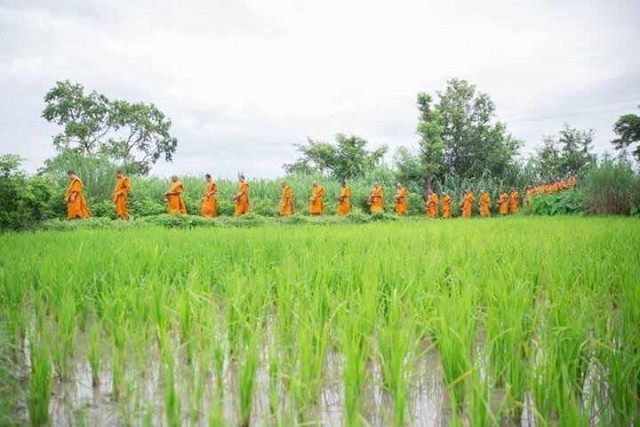 ชาว'พุทธ ฮินดู มุสลิม'อินเดียใส่บาตรทำบุญกับพระมากขึ้น