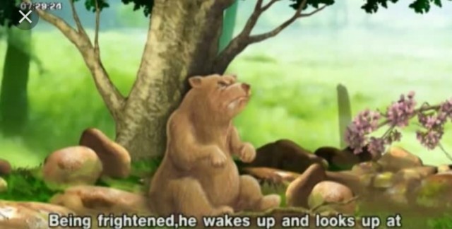 ผันทนชาดก...( หมี กับ ต้นตะคร้อ ) การผูกโกรธก่อให้เกิดการผูกเวร