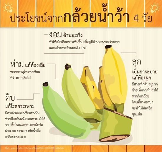 ประโยชน์ของ "กล้วย" แต่ละชนิด ที่แตกต่างกัน ที่เราอาจไม่เคยรู้มาก่อน !!