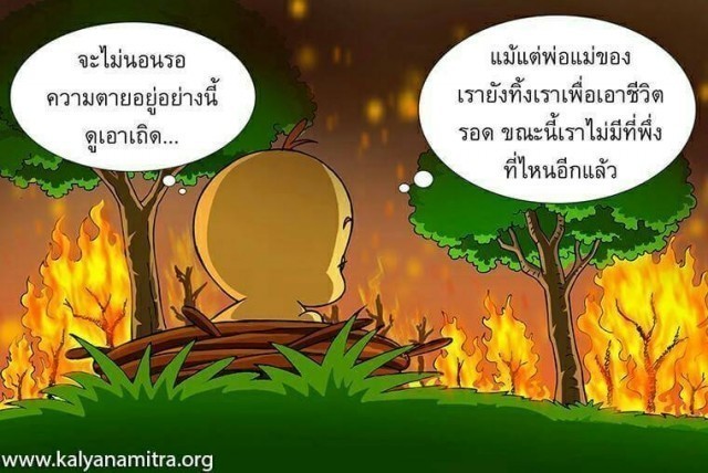 วัฎฎกาชาดก อานุภาพแห่งการตั้งสัตยาธิษฐาน